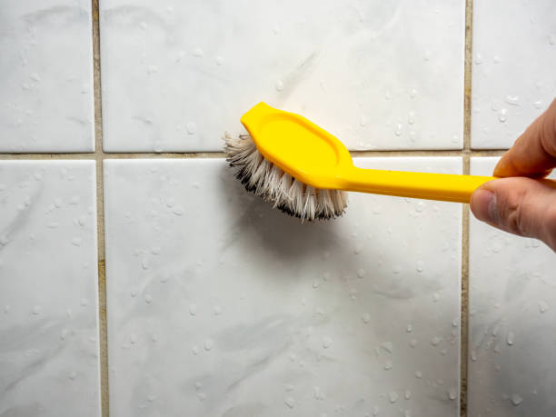 Trusted Byhalia, MS Mold Removal Experts