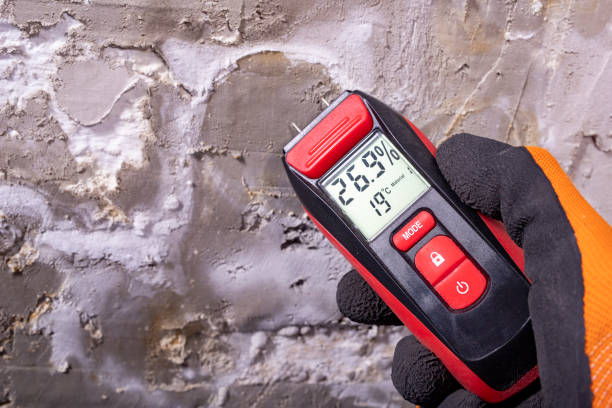 Best Crawl Space Mold Removal  in Byhalia, MS