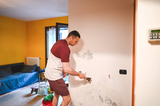 Best Black Mold Removal  in Byhalia, MS